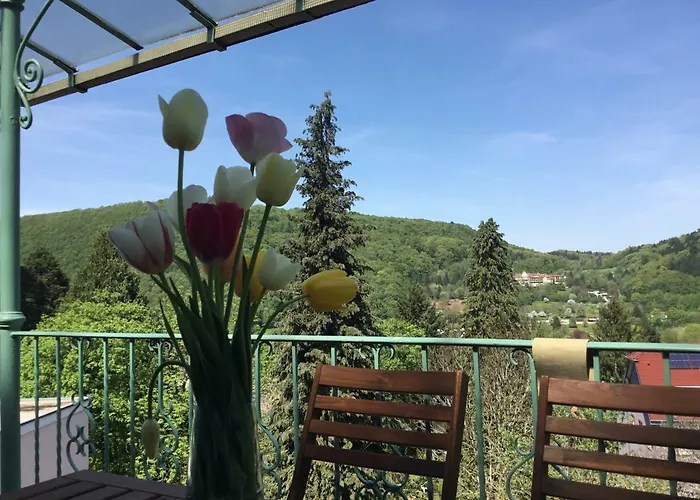 公寓 Josephine 巴登韦勒